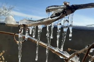 البرد القارس؛ البرودة تسجل رقما قیاسیا فی طهران

